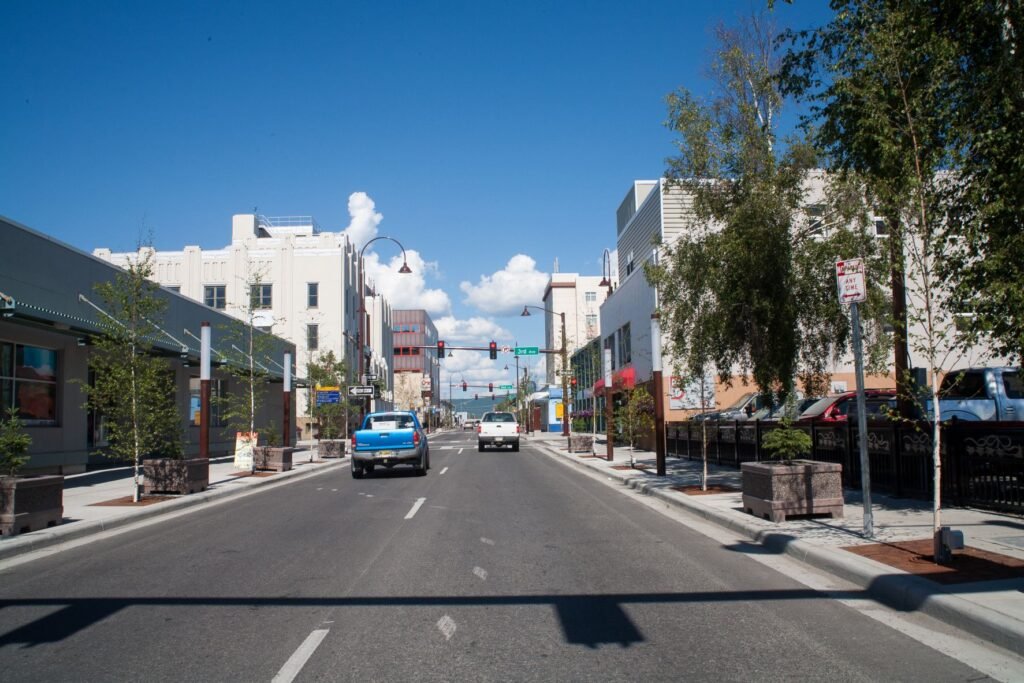 Fairbanks City View